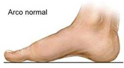 arco normal